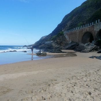 Dolphin Point, Wilderness